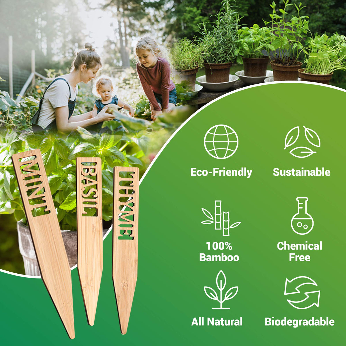 Boldernest herb labels show Cilantro and Dill for quick herb identification