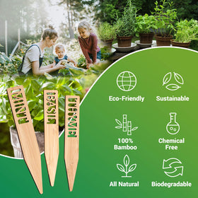 Boldernest herb labels show Cilantro and Dill for quick herb identification