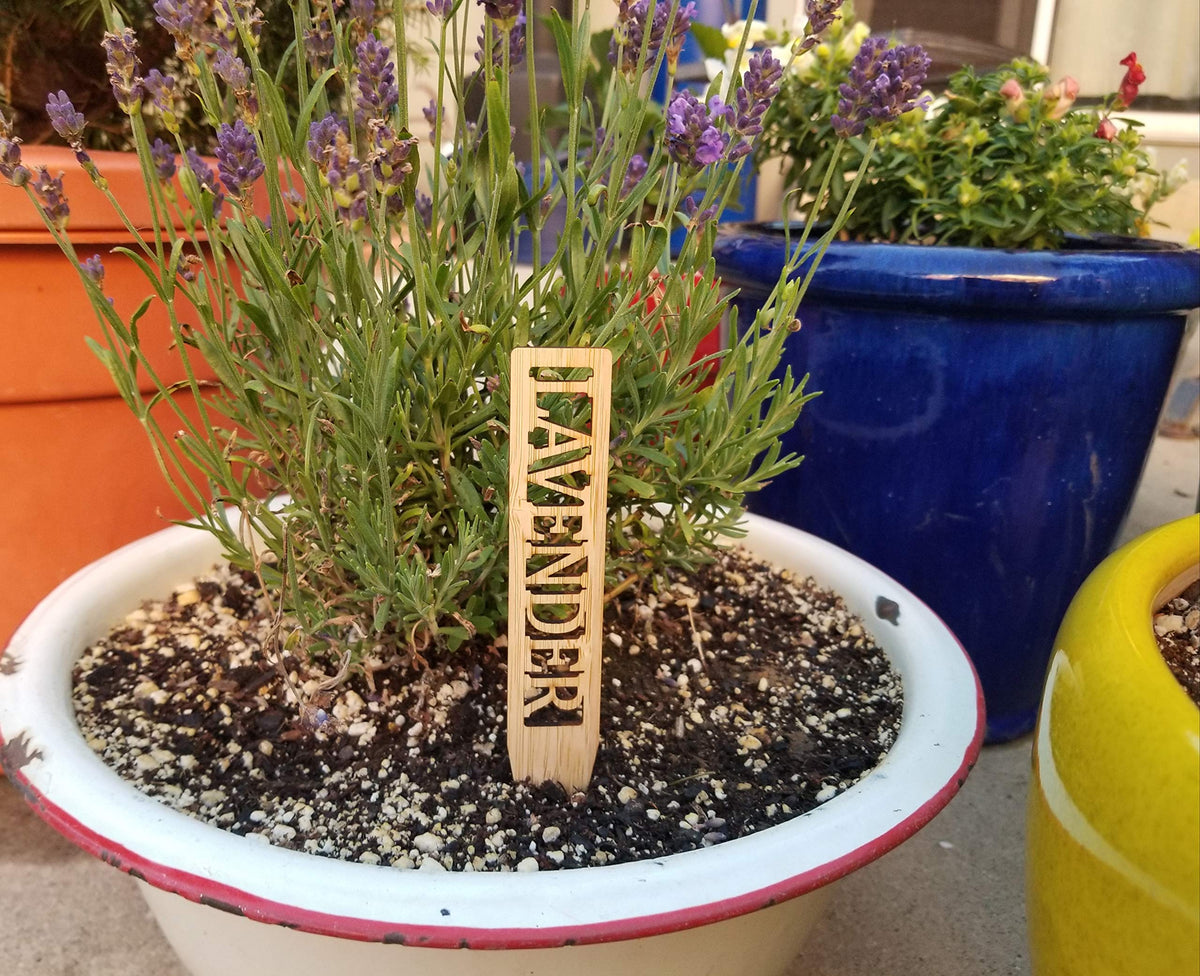 Boldernest outdoor herb labels in a mixed garden for organization