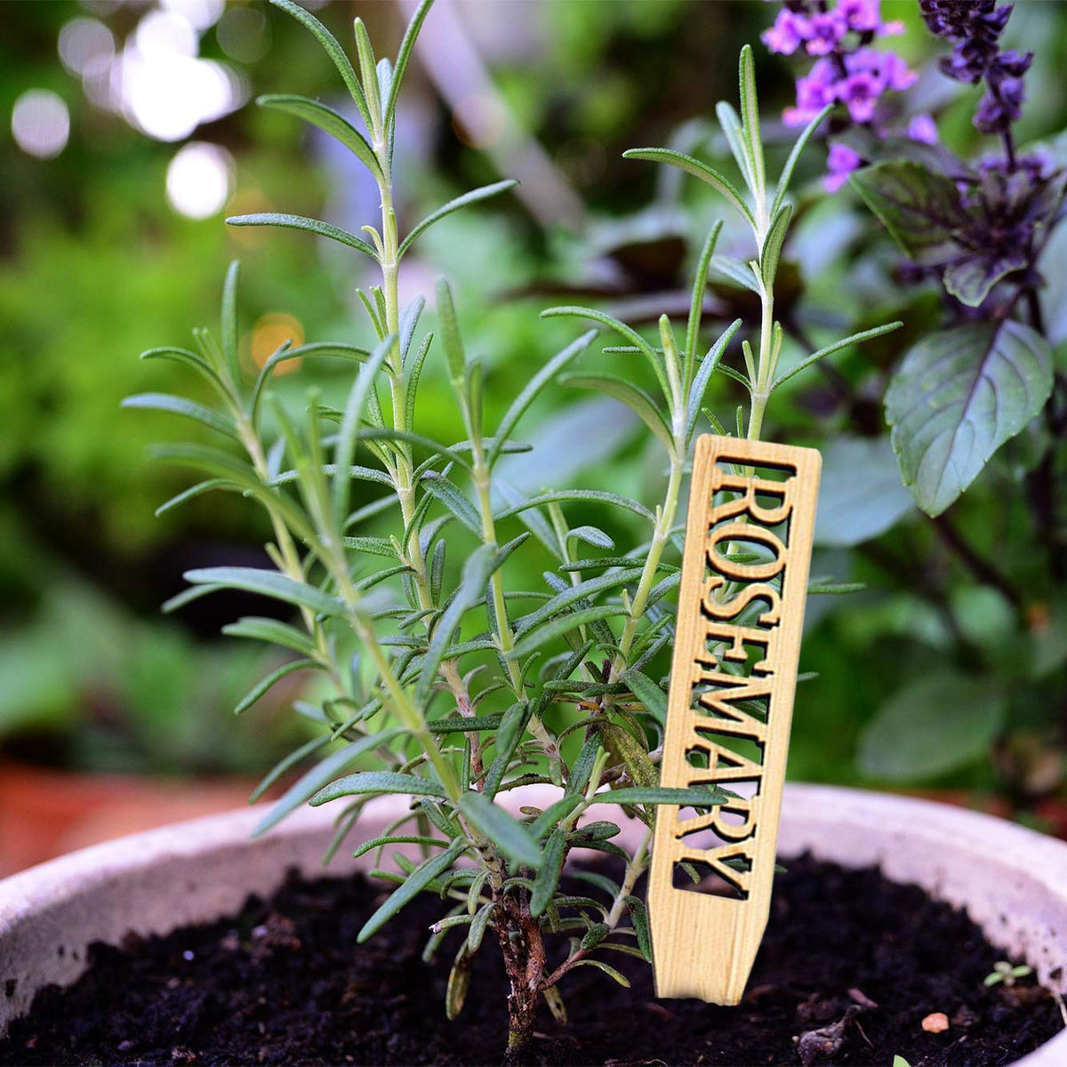 Boldernest rot-resistant bamboo stakes shown in outdoor garden