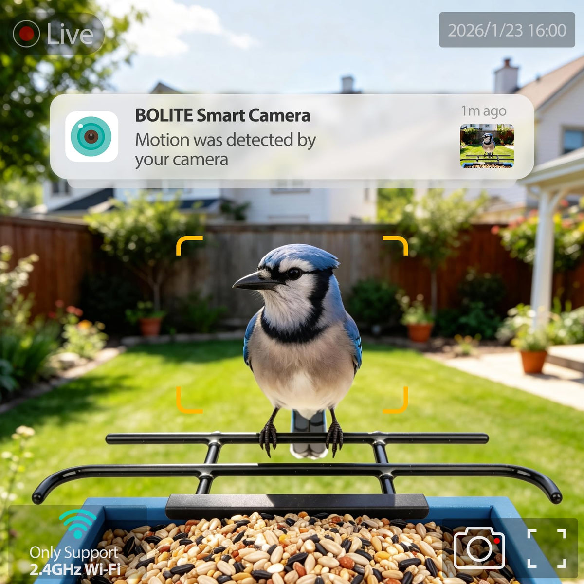 Bolite bird feeder has mic and speaker for real-time listening