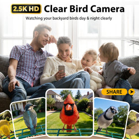 BOLITE Solar panel powers the feeder for eco-friendly, uninterrupted viewing.