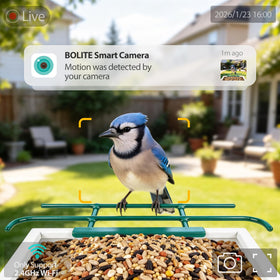BOLITE Live view and recording via app keeps moments accessible.