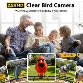 Bolite Smart Bird Feeder wall mount installation demonstrating easy outdoor setup