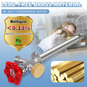Boltigen backflow preventer outdoor faucet shown for safe water use.