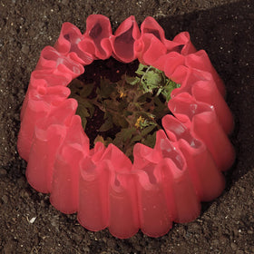 Two-pack Kozy-Coats from Bonadea Gardens supports early-season plant protection.