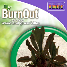 Bonide BurnOut used around the base of a mature tree for weed control.
