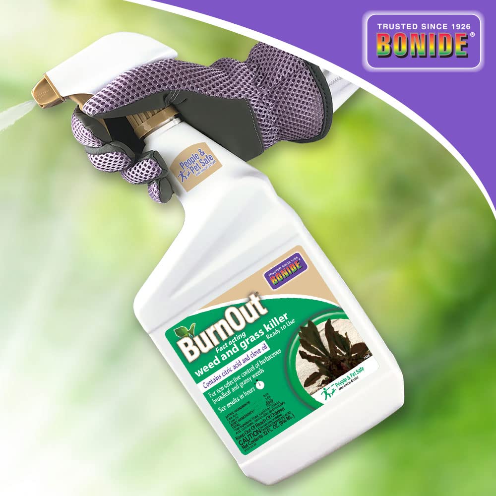 Bonide BurnOut spray nozzle in use enables precise application around plants.
