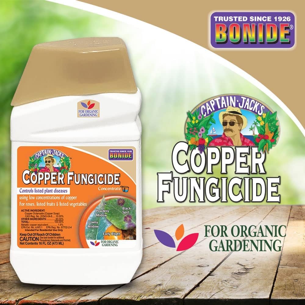 Captain Jack Copper Fungicide on roses for disease protection