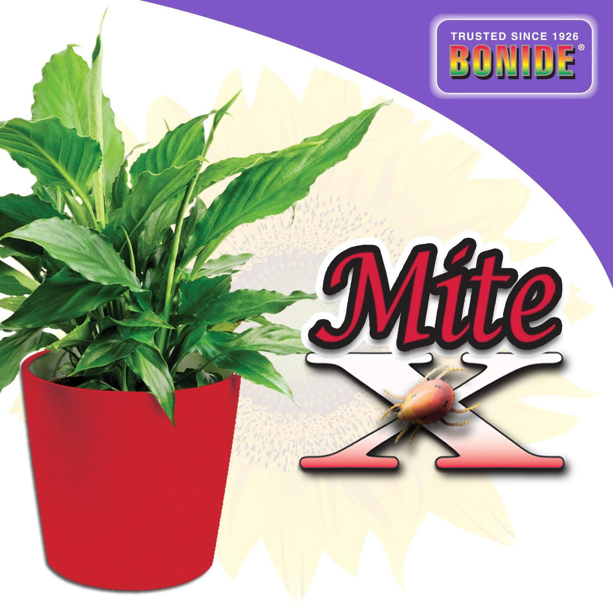 Mite-X botanical extracts on plants for natural pest control.