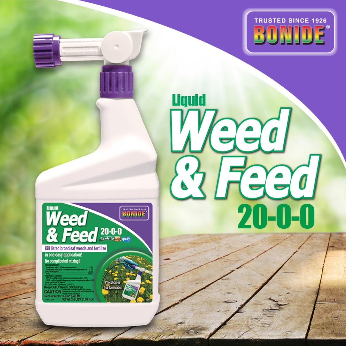Close-up of weed-killing action on a lawn weed using Bonide.