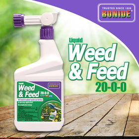Close-up of weed-killing action on a lawn weed using Bonide.