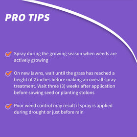 Outdoor garden scene with Bonide sprayer attached to a garden hose.
