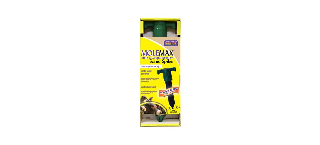Bonide MoleMax Spike outdoor installation along lawn edge.