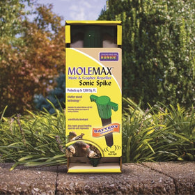 Bonide MoleMax Spike two-unit setup provides overlapping protection.