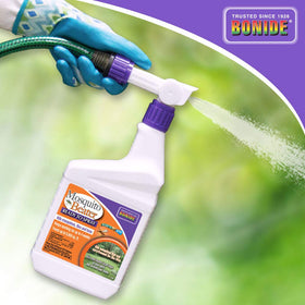 Bonide Mosquito Beater reduces flies and gnats near patios.
