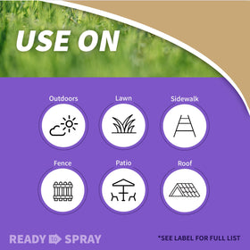 Bonide MossMax spray in action on lawn to kill moss