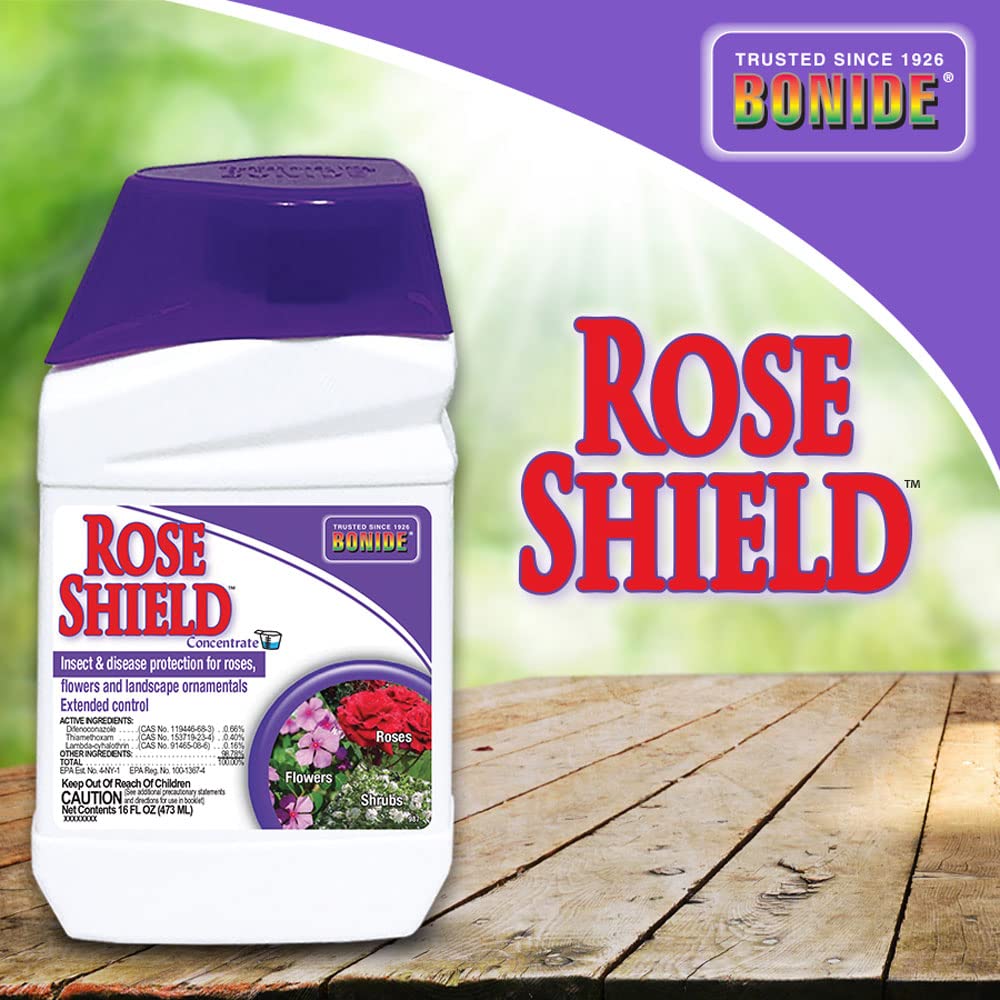 Bonide Rose Shield leaf with spots showing prior disease and prevention.