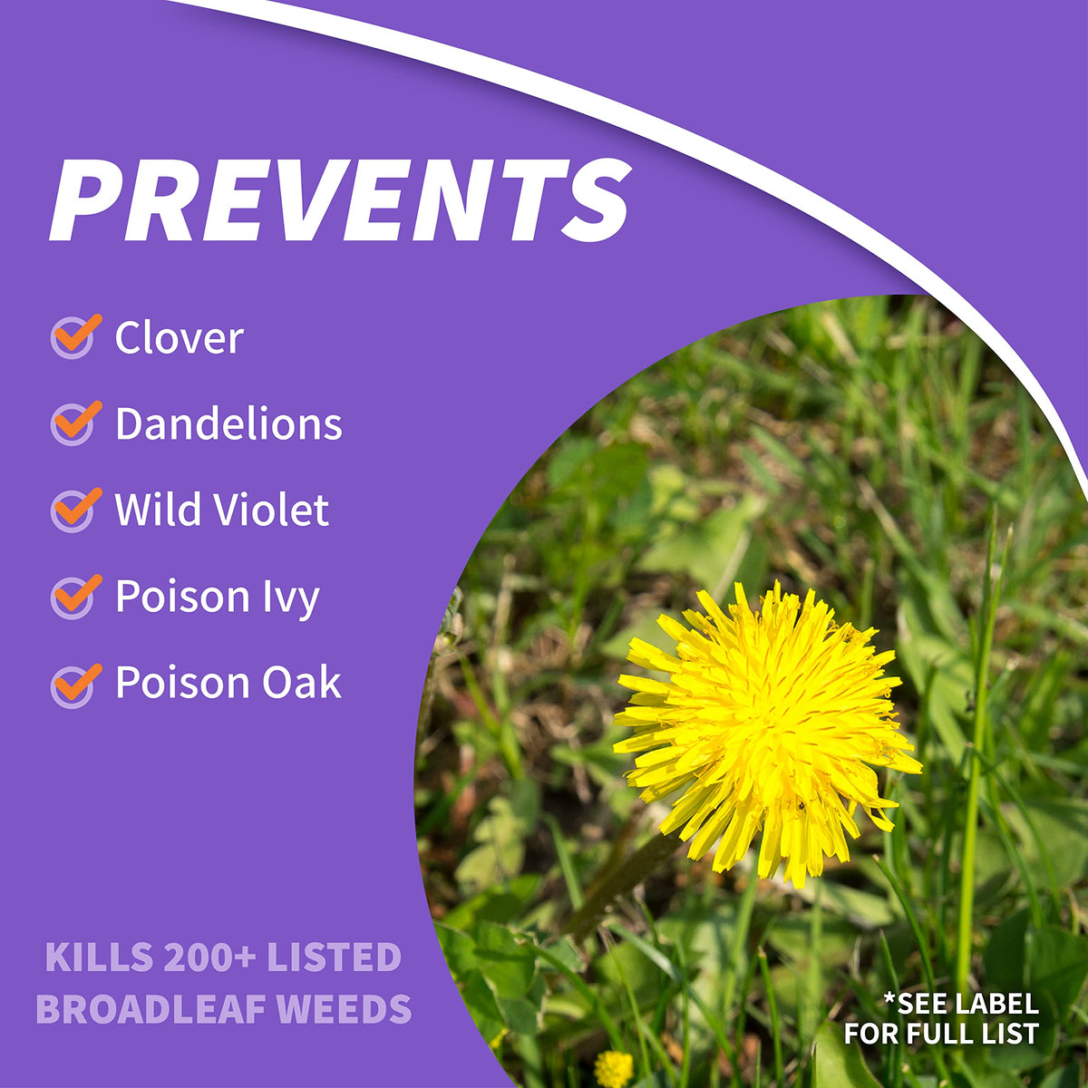 Bonide Weed Beater Ultra applied to lawn showing selective weed control.