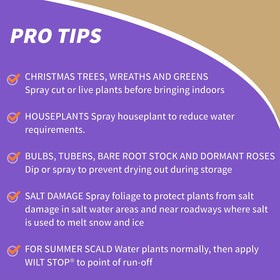Bonide Wilt Stop clear-film-on-foliage for reduced moisture loss.