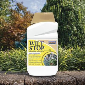 Bonide Wilt Stop evergreen protection for needles and leaves.