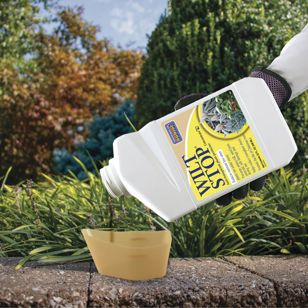 Bonide Wilt Stop protects transplants from shock during planting.