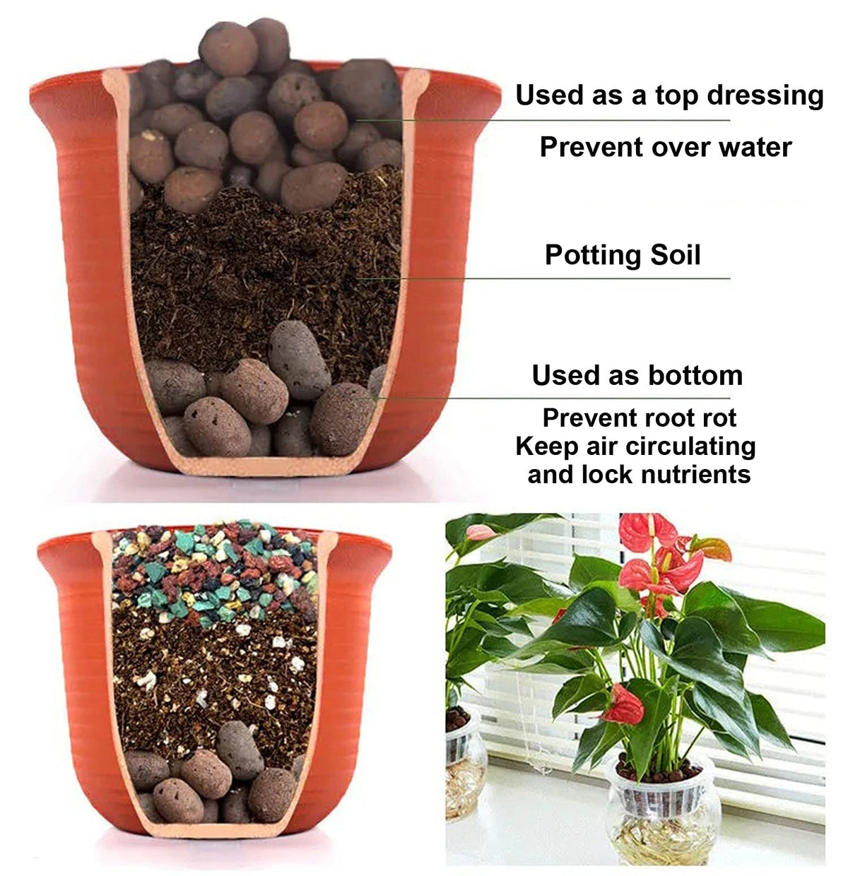 Boniosz pebbles in orchid cultivation promoting well-drained, oxygen-rich roots.