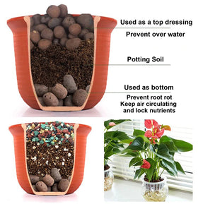 Boniosz pebbles in orchid cultivation promoting well-drained, oxygen-rich roots.