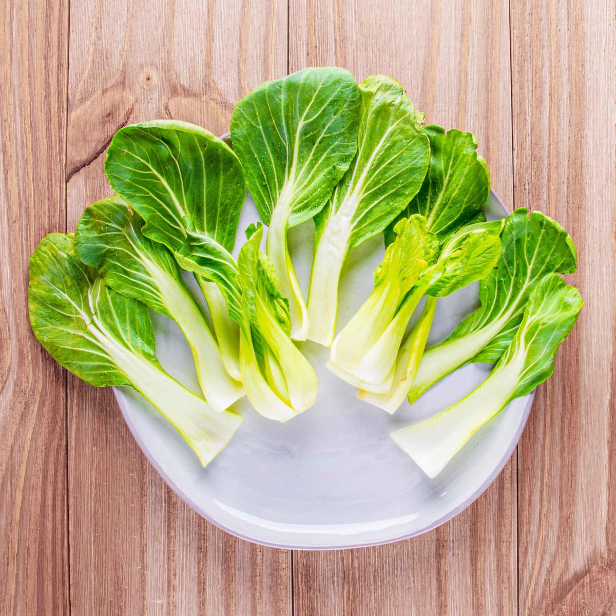 Bonnie Plants Bok Choy container-garden ready for sunny patios.