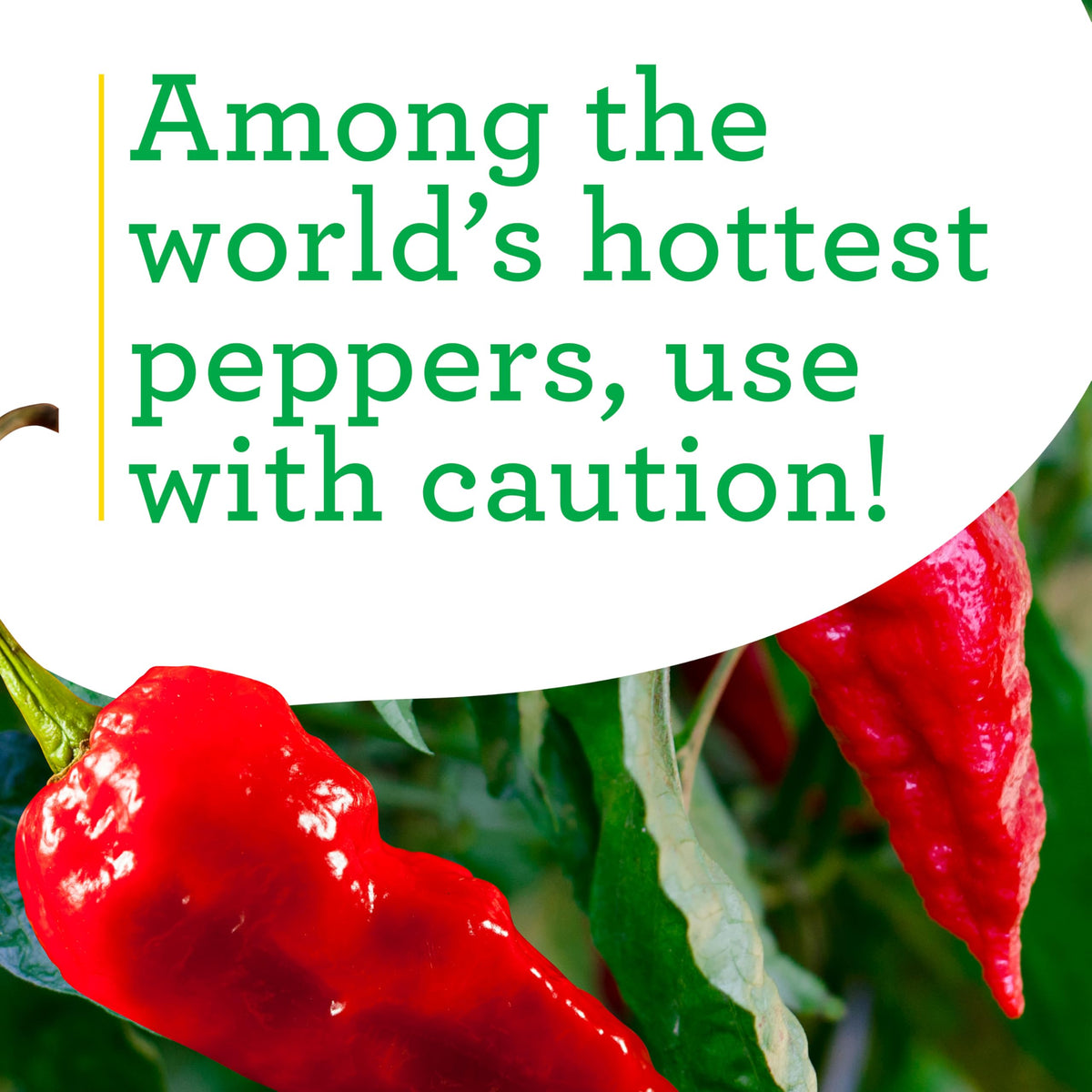 Bonnie Plants Ghost Pepper pot setup ideal for growing indoors