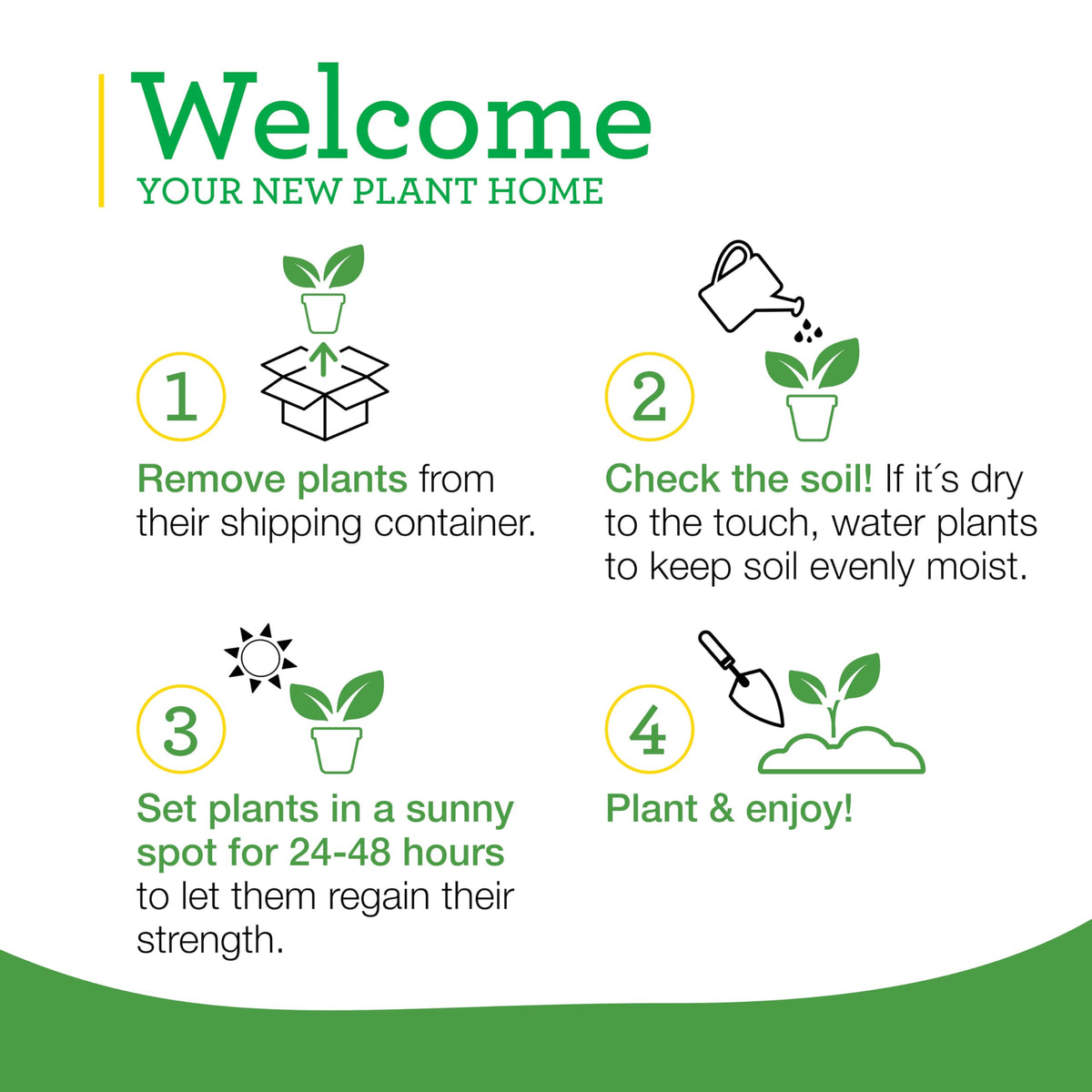 Bonnie Plants Sweet Mint kitchen use—versatile herb for savory dishes
