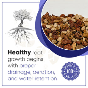 Bonsai Outlet Akadama-based blend enhances water retention and root development.