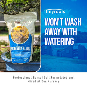Deciduous bonsai soil blend promoting balanced rooting and watering