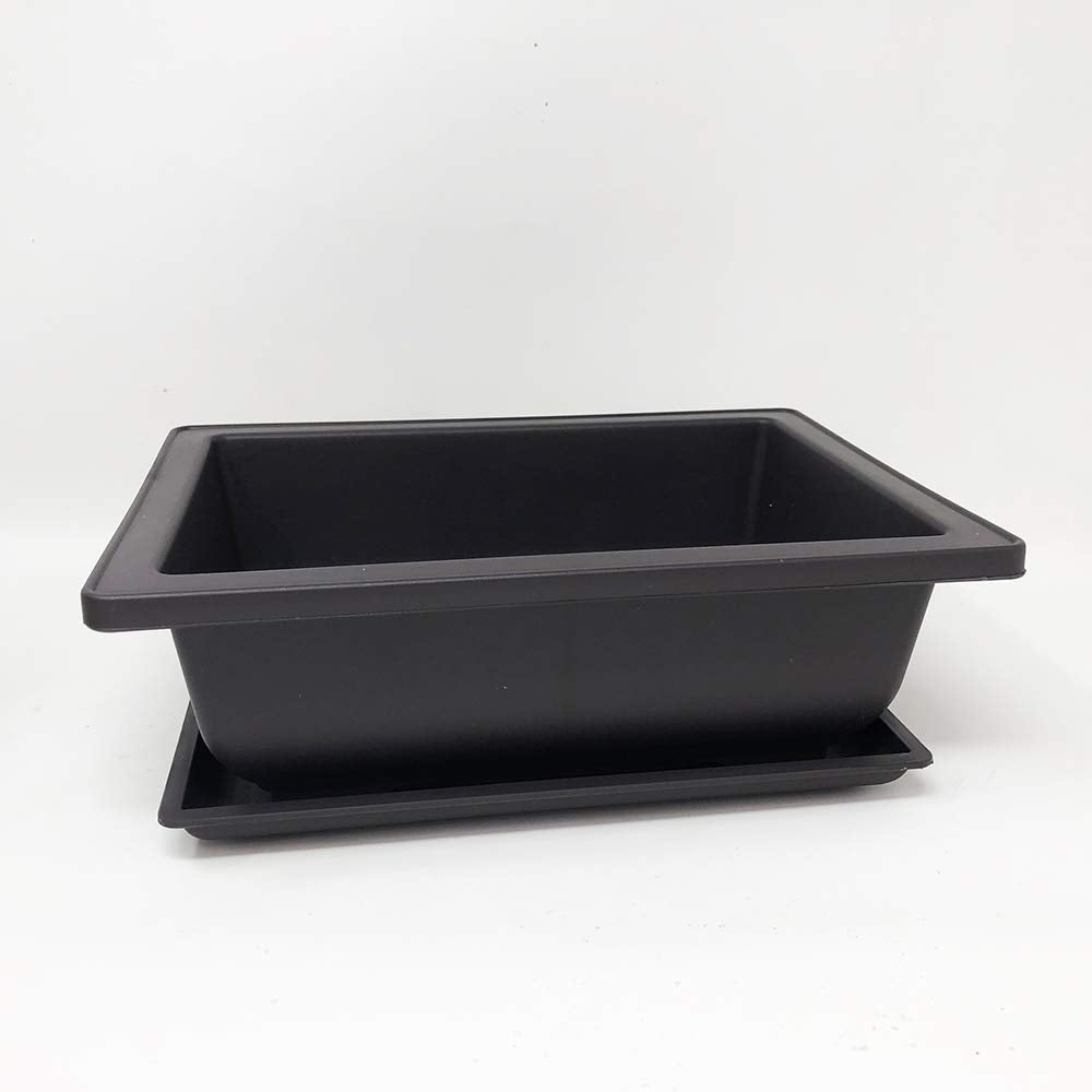 Bonsai Outlet deep-brown 6-inch pot supports bonsai training.