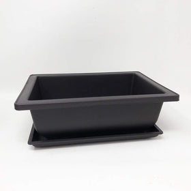 Bonsai Outlet deep-brown 6-inch pot supports bonsai training.