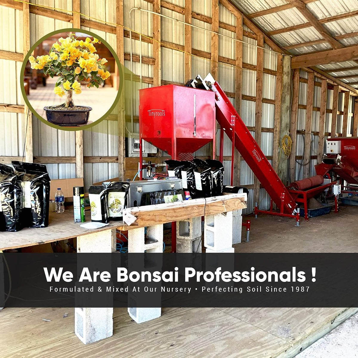 Bonsai Outlet tropical soil is ideal for repotting tropical bonsai trees.