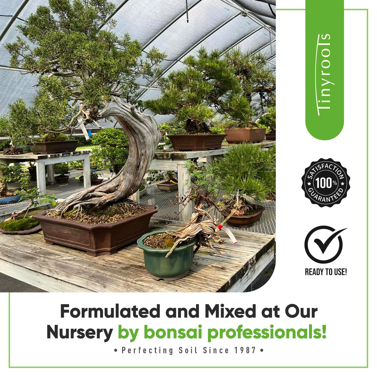 Bonsai Outlet Tinyroots nursery-grade blend ready for immediate repotting.