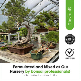 Bonsai Outlet Tinyroots nursery-grade blend ready for immediate repotting.