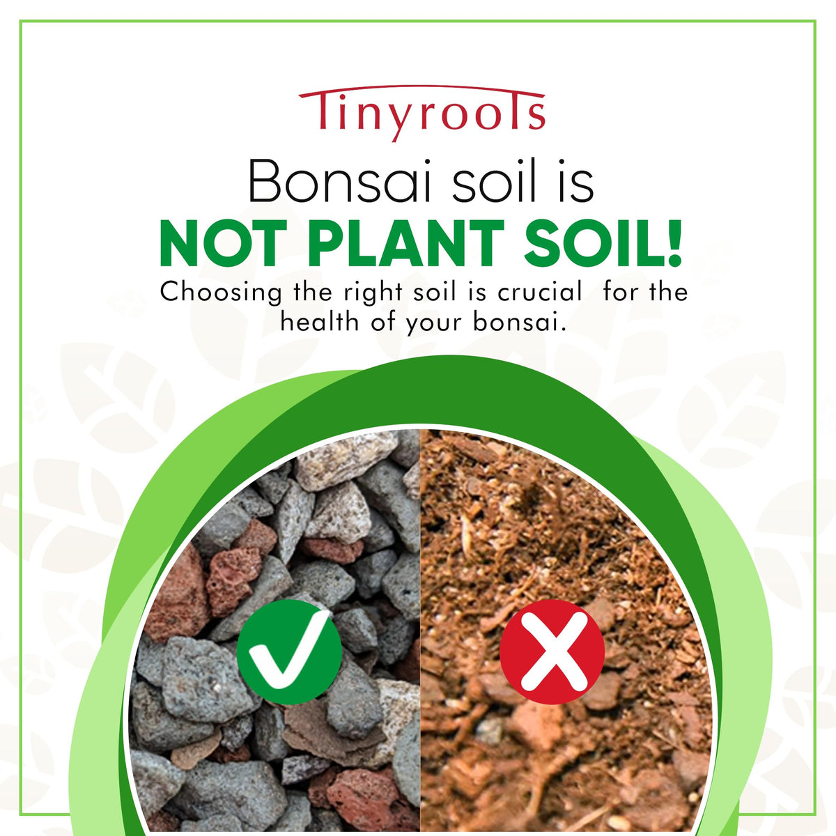 Bonsai Outlet Tinyroots soil texture close-up, showing airy granules for drainage and moisture retention.