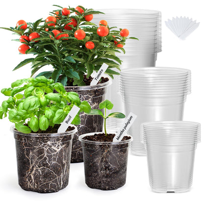 Bonviee clear nursery pot shows soil and roots for easy moisture monitoring.