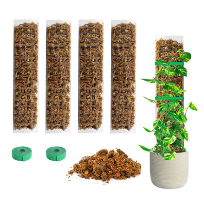 Bonviee moss pole 15-inch flat design supports climbing Monstera for vertical growth