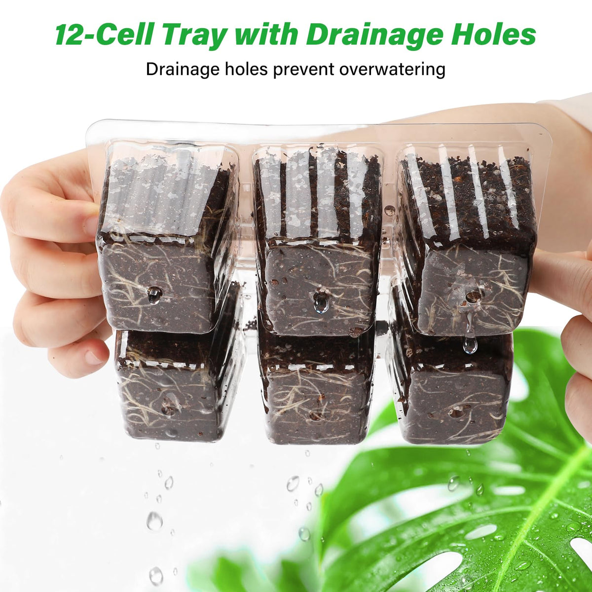 Bonviee 10-pack seed trays ready for versatile gardening setup.