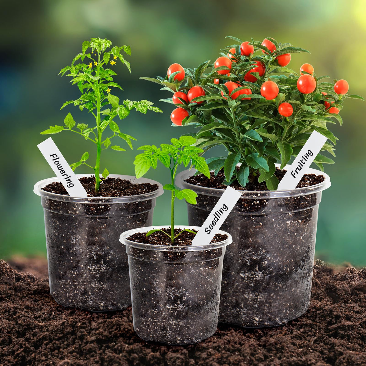 Bonviee 10 plant labels included helps organize varieties and progress.