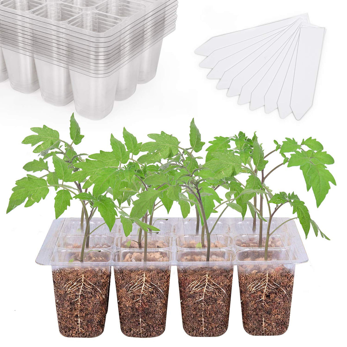 Bonviee seed starter tray with 12-cell drainage holes for healthy root airflow.
