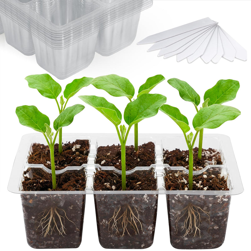 Bonviee seed starter tray with 6 clear cells for root viewing.