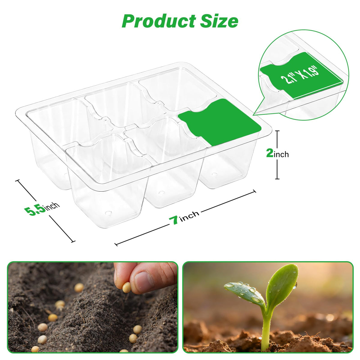 Bonviee seed starter tray close-up showing transparent design for monitoring.