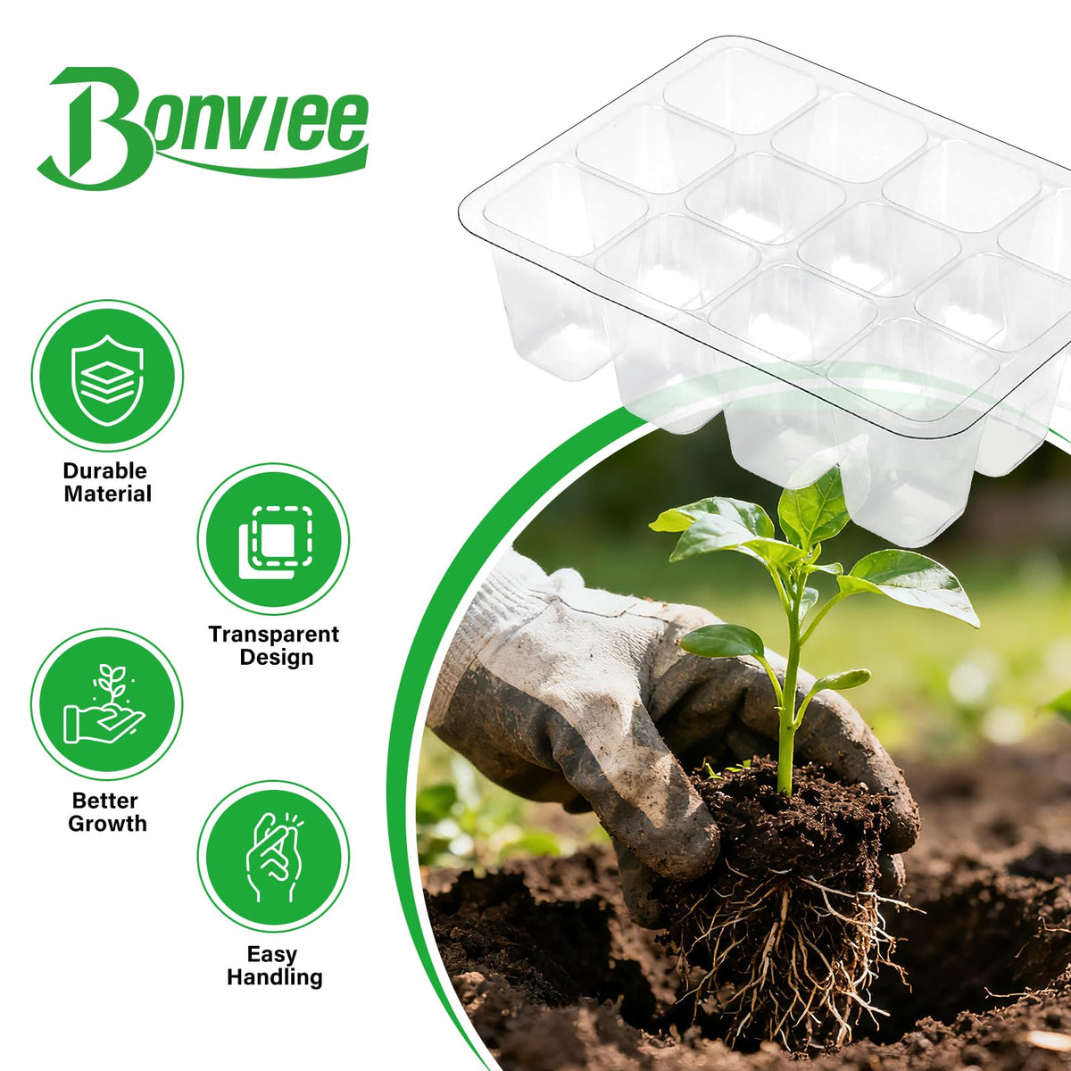 Bonviee seed starter tray provides visible spacing for uniform germination.