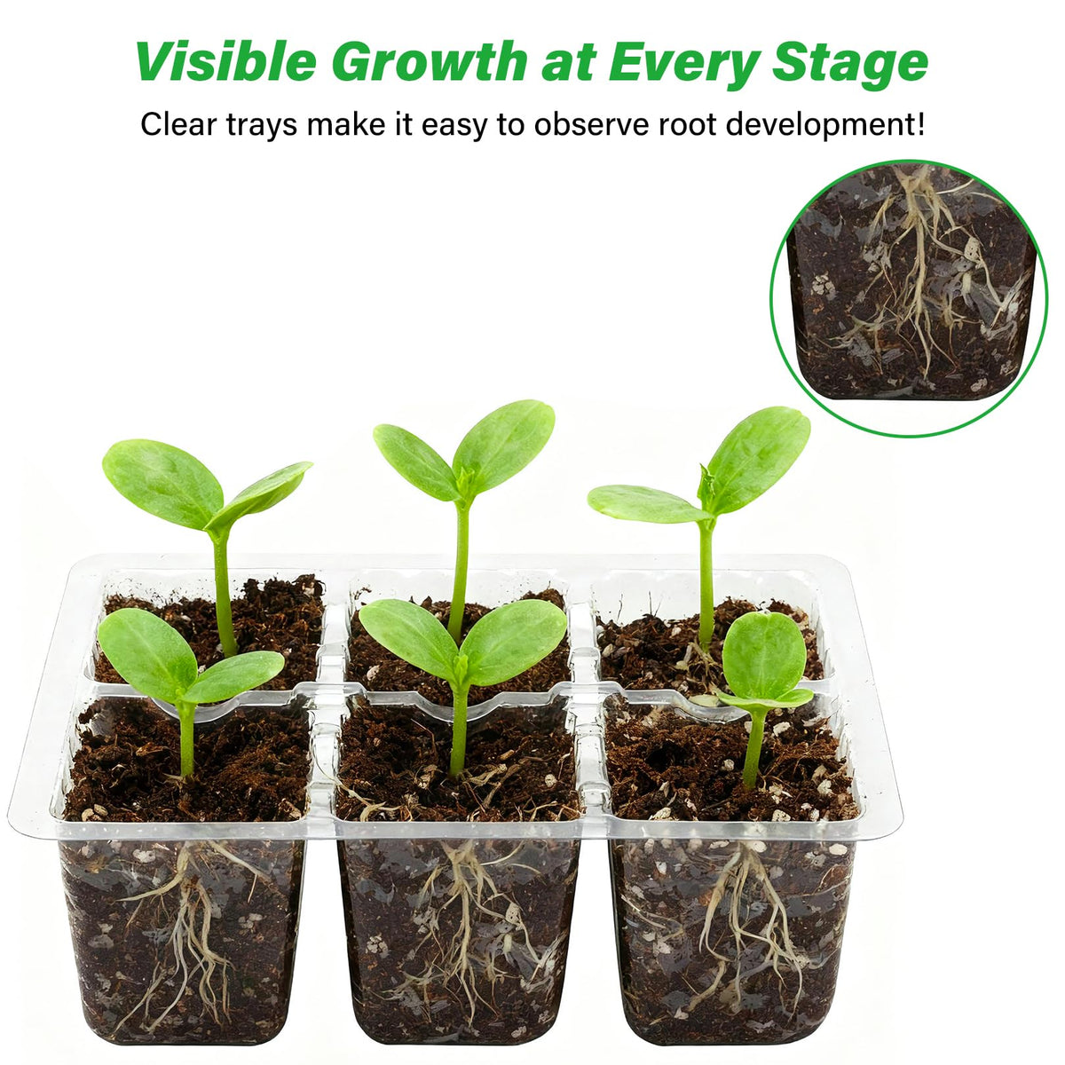 Bonviee reusable durable seed tray highlighting long-term use.