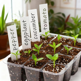 Bonviee seed starter tray is ideal for starting vegetables, herbs, and flowers.