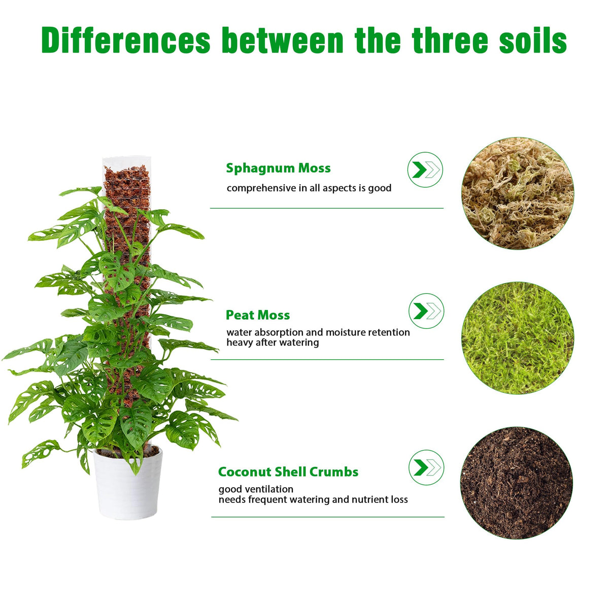 Bonviee sphagnum moss included hydrates roots and nourishes leaves